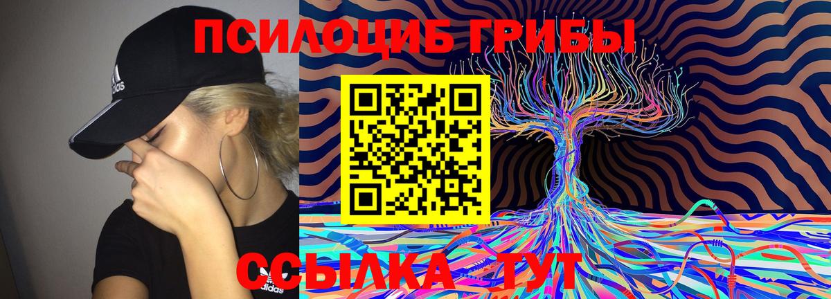 Галлюциногенные грибы MAGIC MUSHROOMS  Вход с VPN  Дзержинский 