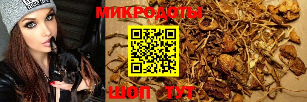 Галлюциногенные грибы Magic Shrooms Дзержинский